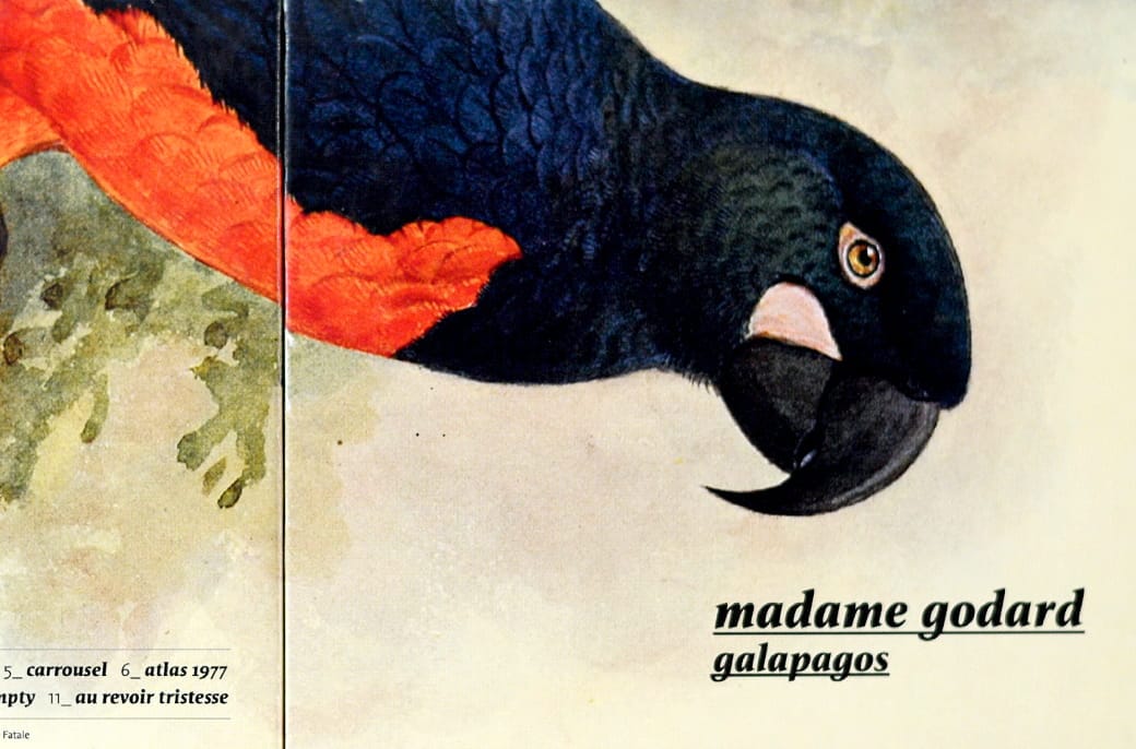 MADAME GODARD – 1/5