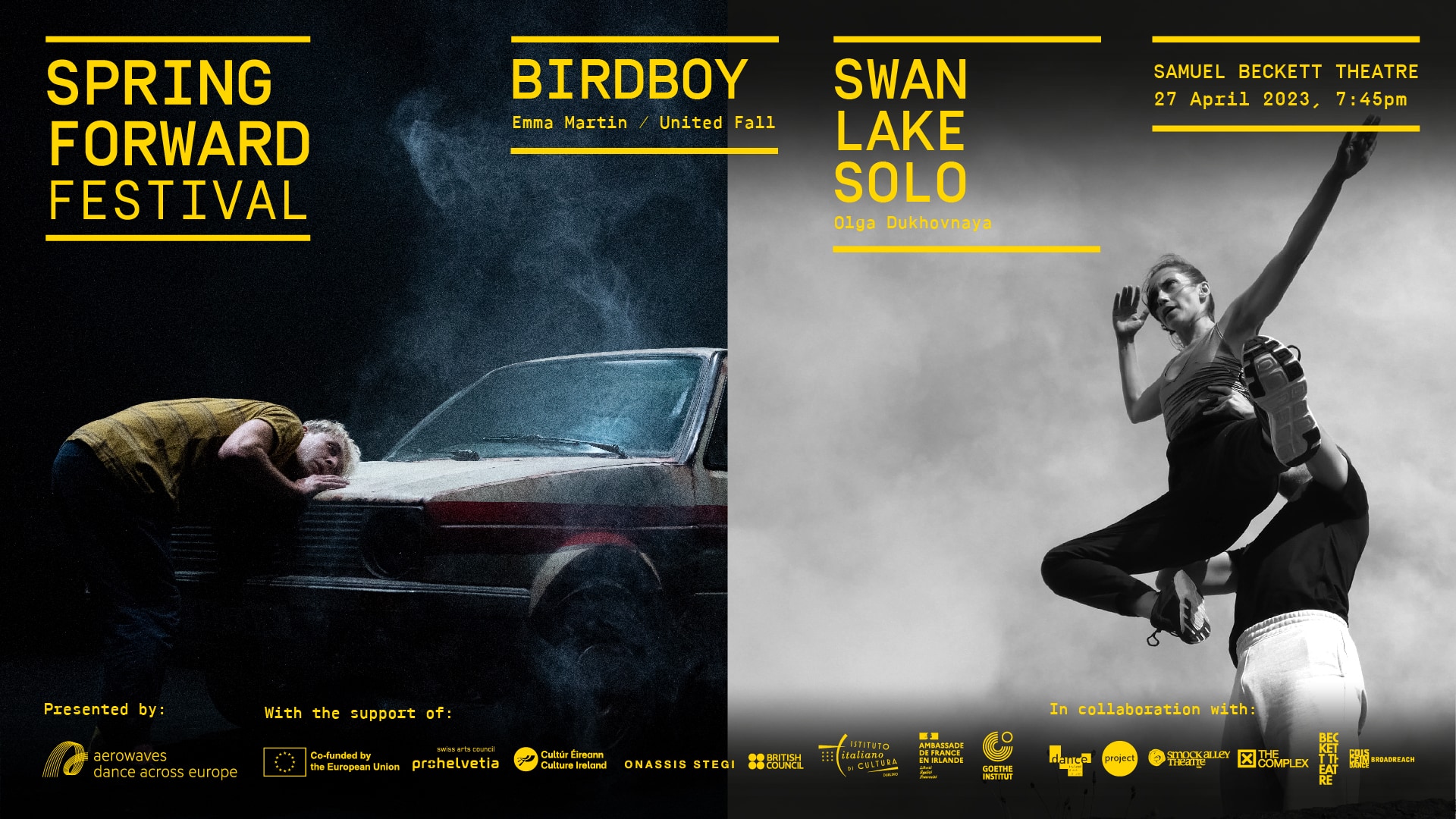 SPRINGFORWARD-shows-Birdboy-SwanLakeShow-landscape